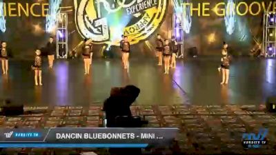 Dancin Bluebonnets - Mini Coed - Variety [2020 Mini Coed - Variety Day 1] 2020 Encore Championships: Houston DI & DII