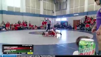 117 lbs Placement (4 Team) - Landen Haines, Brownsburg vs Wesley Harbert, New Palestine