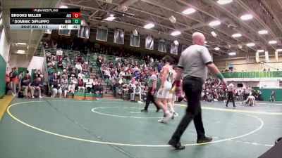 113 lbs 3rd Place Match - Dominic DiFilippo, Medina vs Brooks Miller, Archbold High School