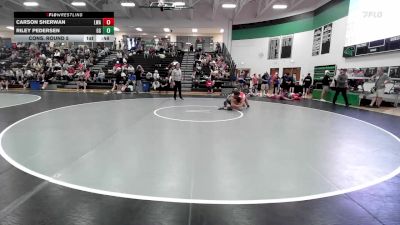 106 lbs Cons. Round 5 - Riley Pedersen, GI Grapplers vs Carson Sherwan, Lions Wrestling Academy