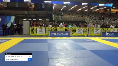 VITOR CRIZEL ALMEIDA vs BRANDON RYAN HONG 2023 Pan Jiu Jitsu IBJJF Championship