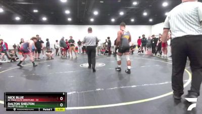 167 lbs Finals (8 Team) - Nick Blue, NC Pride Elite Wrestling vs Dalton Shelton, Palmetto Gold