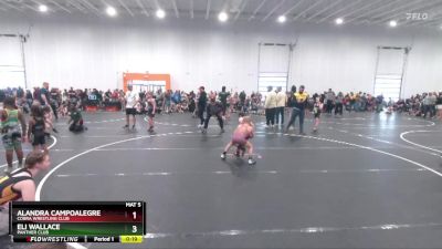 70 lbs Champ. Round 1 - Alandra Campoalegre, Cobra Wrestling Club vs Eli Wallace, Panther Club