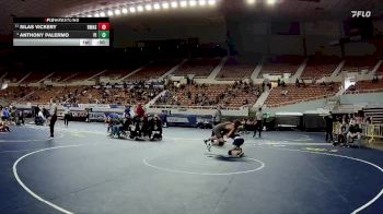 175-D1 Cons. Round 2 - Silas Vickery, Red Mountain High School vs Anthony Palermo, Pinnacle High School