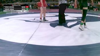 D4-165 lbs Champ. Round 1 - Brody Mead, Decatur vs Noah Adams, Saginaw Michigan Lutheran Seminary