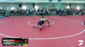 197 lbs Semifinal - Braden Homsey, Ferrum College vs Cameron Butka, Wilkes University