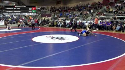 6A 132 lbs Quarterfinal - William Palmer, Little Rock Central High School vs Darrell Ramirez, Rogers High School