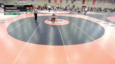 157 lbs Semifinal - Cole Dummer, Augsburg vs Rhenzo Augusto, Elmhurst University