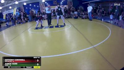 138 lbs Round 4 (8 Team) - Aaron Horr, VHWC vs Anthony Cornwell, Avalon WV