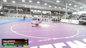 6-215 lbs Semifinal - Cole Leinberger, Thomas Dale vs Harry Maltese, Fairfax