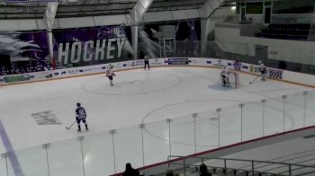 Replay: Home - 2024 Liberty vs Niagara Univ. | Nov 2 @ 1 PM