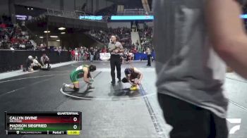 127 lbs Quarterfinal - Callyn Divine, Halstead vs Madison Siegfried, St. Francis