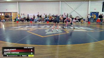 165 lbs Cons. Round 2 - Julian Schott, Marymount vs Dominic Hartman, Thiel