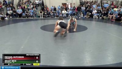 160 lbs Placement (16 Team) - Brant Beck, Rochester vs Michael Hutchison, Cascade