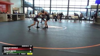 157 lbs Quarterfinal - Teagan Sestak, Iowa City, Liberty vs Bradley Nichols, Linn-Mar