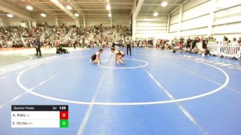 132 lbs Quarterfinal - Alias Raby, CA vs Easton Dircks, MN