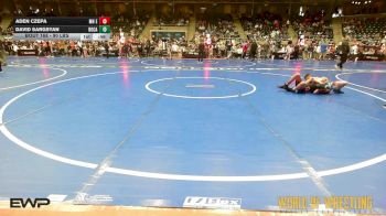 90 lbs Consolation - Aden Czepa, MN Elite vs David Sargsyan, Boca Raton Cowboys