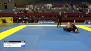 Michael Dante Patterson vs Daniel H Peng 2024 Pan IBJJF Jiu-Jitsu No-Gi Championship