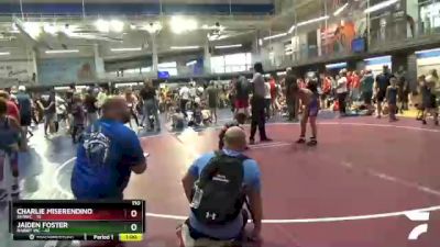 110 lbs Placement Matches (16 Team) - Jaiden Foster, Rabbit WC vs Charlie Miserendino, SVRWC