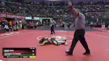 D2-120 lbs Quarterfinal - Aiden King, Hartley vs Brendan McCrone, Lake Cath.