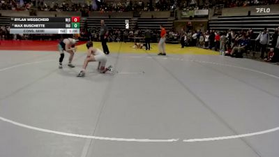 140 lbs Cons. Semi - Max Buschette, Dassel-Cokato-Litchfield vs Rylan Wegscheid, WDC (Wadena/Deer Creek)