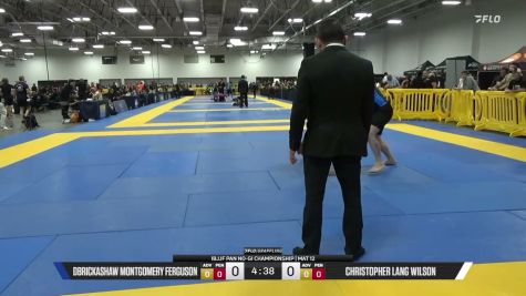 Christopher Lang Wilson vs DBrickashaw Montgomery Ferguson 2026 Pan IBJJF Jiu-Jitsu No-Gi Championship