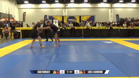 Luke A Harwood vs Said Dunkaev 2024 World IBJJF Jiu-Jitsu No-Gi Championship