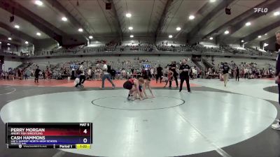 106 lbs Cons. Round 3 - Perry Morgan, Angry Fish Wrestling vs Cash Hammons, Lee`s Summit North High School Wrestling