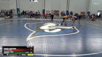 133 lbs Cons. Round 4 - Owen Heffner, Elizabethtown vs Romeo Tsai, McDaniel