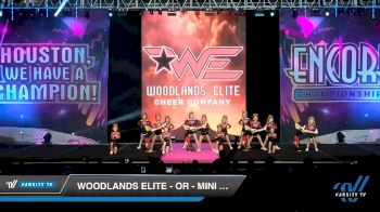 Woodlands Elite - OR - Mini Ops [2019 Mini - Small 2 Day 1] 2019 Encore Championships Houston D1 D2