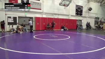 165 lbs Champ. Round 1 - Calin Capra, Sacramento City College vs Roman Rodriguez, Mt. Sac