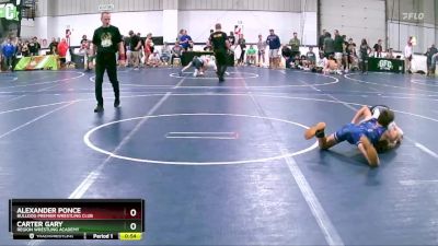 100 lbs 7th Place Match - Alexander Ponce, Bulldog Premier Wrestling Club vs Carter Gary, Region Wrestling Academy