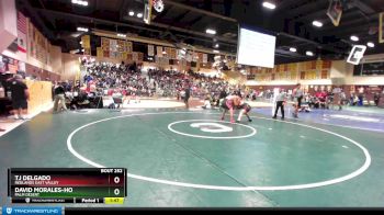 220 lbs Champ. Round 1 - David Morales-Ho, Palm Desert vs TJ Delgado, Redlands East Valley