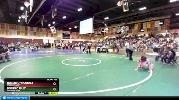 132 lbs Cons. Round 2 - Dominic Ruiz, Riverside Poly vs Roberto Vazquez, Paloma Valley