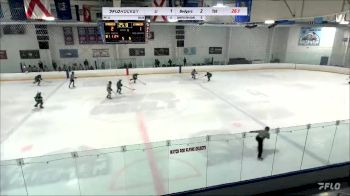 Replay: Home - 2023 Whalers U14 vs Badgers U14 | Nov 19 @ 6 AM