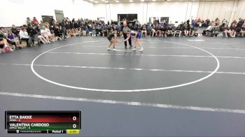 106 lbs Round 3 (4 Team) - Valentina Cardoso, Apple Valley vs Etta Bakke, Mora