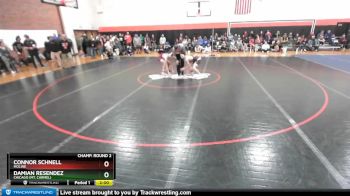 120 lbs Champ. Round 2 - Damian Resendez, Chicago (MT. CARMEL) vs Connor Schnell, MOLINE