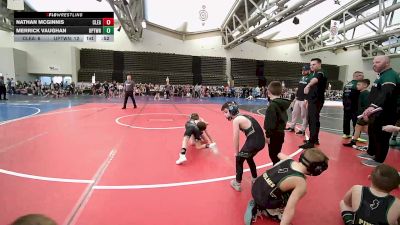 53 lbs Rr Rnd 3 - Nathan McGinnis, Clearview K3 vs Merrick Vaughan, Upper Township