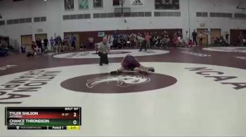 157 lbs Semifinal - Tyler Shilson, Augsburg vs Chance Throndson, Upper Iowa