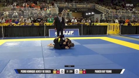Pedro Henrique Alves F De Souza vs Parker Ray Young 2025 Pan Kids Jiu-Jitsu IBJJF Championship