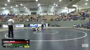 106 lbs 2nd Wrestleback (8 Team) - Gabriel Ribeiro, Nolensville vs James Hicks, Wilson Central