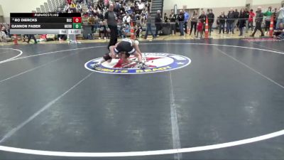 120 lbs Quarterfinal - Bo Diercks, ROCORI vs Gannon Faber, Martin County Red Bulls