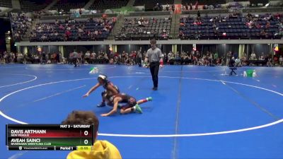 65 lbs Cons. Round 2 - Davis Artmann, New Prague vs Aveah Sainci, Riverhawk Wrestling Club