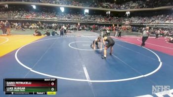 6A 138 lbs Quarterfinal - Luke Burgar, Keller Timber Creek vs Dario Petrucelli, Rockwall