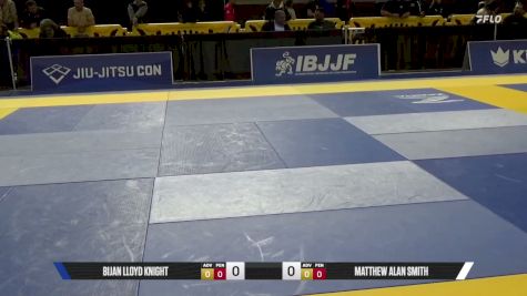 David Alan Stephens vs Lucas Edgar Goodwin 2026 Pan Jiu Jitsu IBJJF Championship