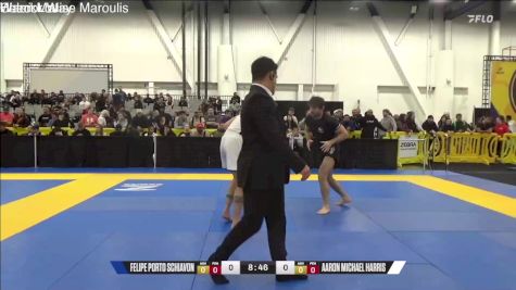 Aaron Michael Harris vs Felipe Porto Schiavon 2024 World IBJJF Jiu-Jitsu No-Gi Championship