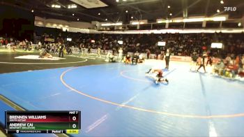 132 lbs Cons. Round 7 - Andrew Cai, Newport (Bellevue) vs Brennen Williams, South Kitsap