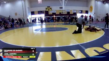 Replay: Mat 2 - 2025 Lady Vikings Invitational | Jan 11 @ 9 AM