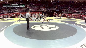D3-113 lbs Quarterfinal - Brock Beckler, Waynedale vs Lars Soles, Archbold