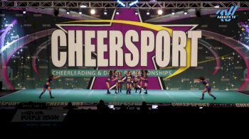 Cheer Xcel - Purple Reign [2025 L1 Senior - D2 Day 2] 2025 CHEERSPORT National All Star Cheerleading Championship